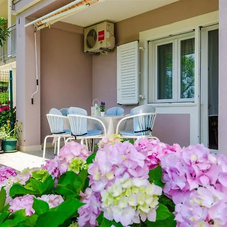 Rajna تْسْغيكفانِتْسا